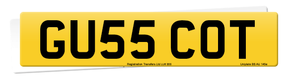 Registration number GU55 COT